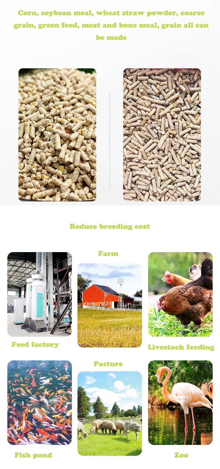 animal feed pellet machine